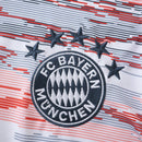 Bayern Munich - Away 25/26 Men's Jersey
