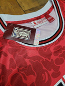 Jersey Bape Mitchell & Ness Chicago Bulls - Lux Shop