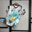 JAPAN | 24/25