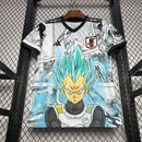 JAPAN | 24/25