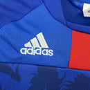 JAPAN | 2010